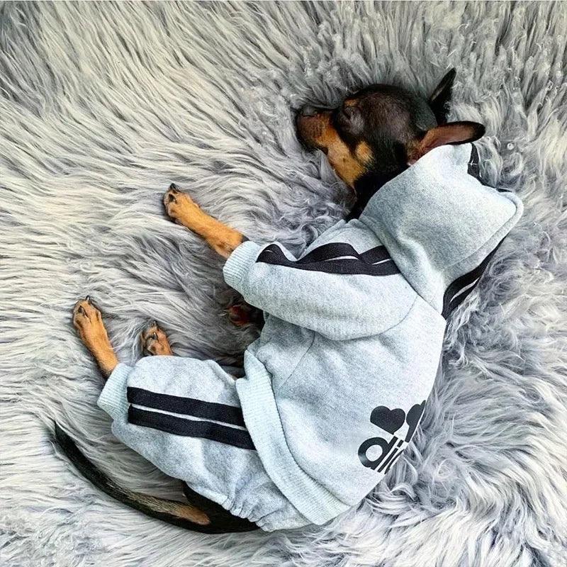 Roupas para animais