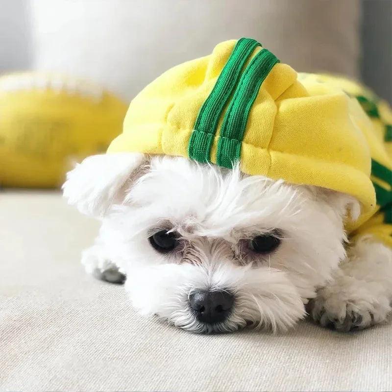 Roupas para animais